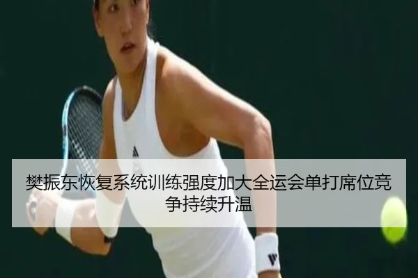 樊振东恢复系统训练强度加大全运会单打席位竞争持续升温